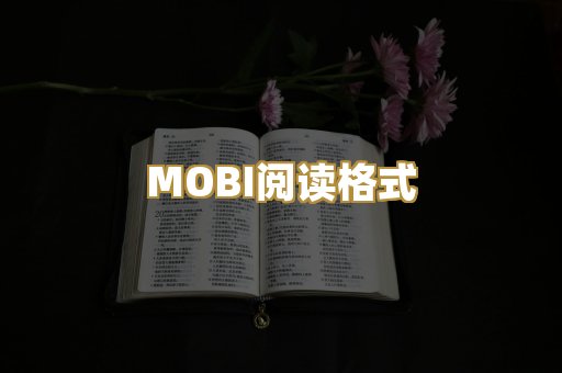 MOBI阅读格式